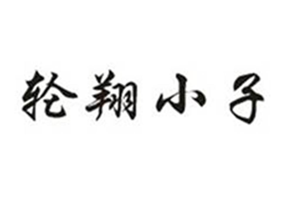 轮翔小子