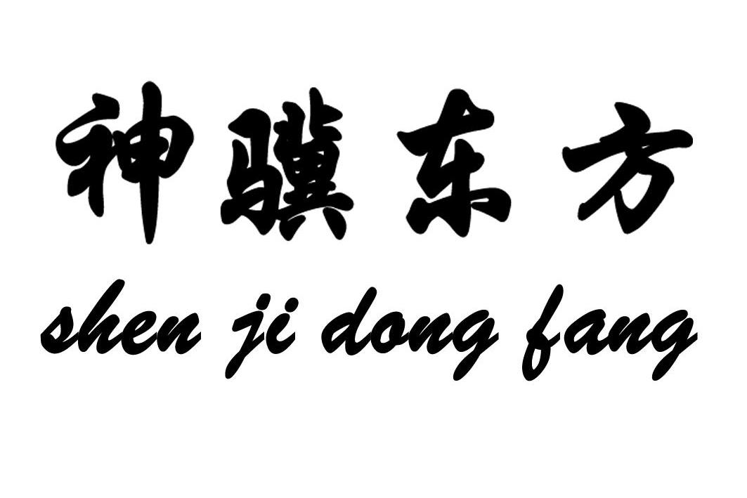 神骥东方SHENJIDONGFANG