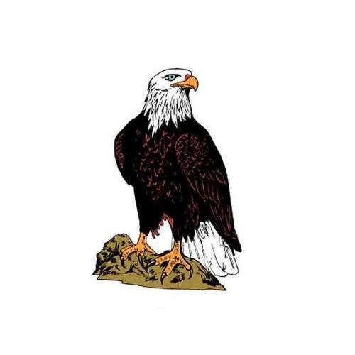 老鹰图形