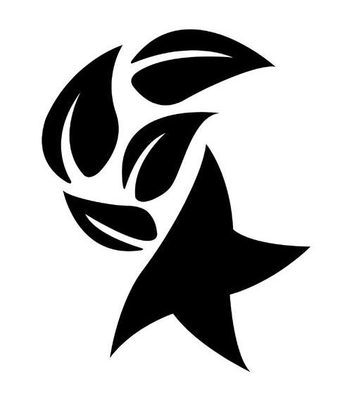 五角星图形