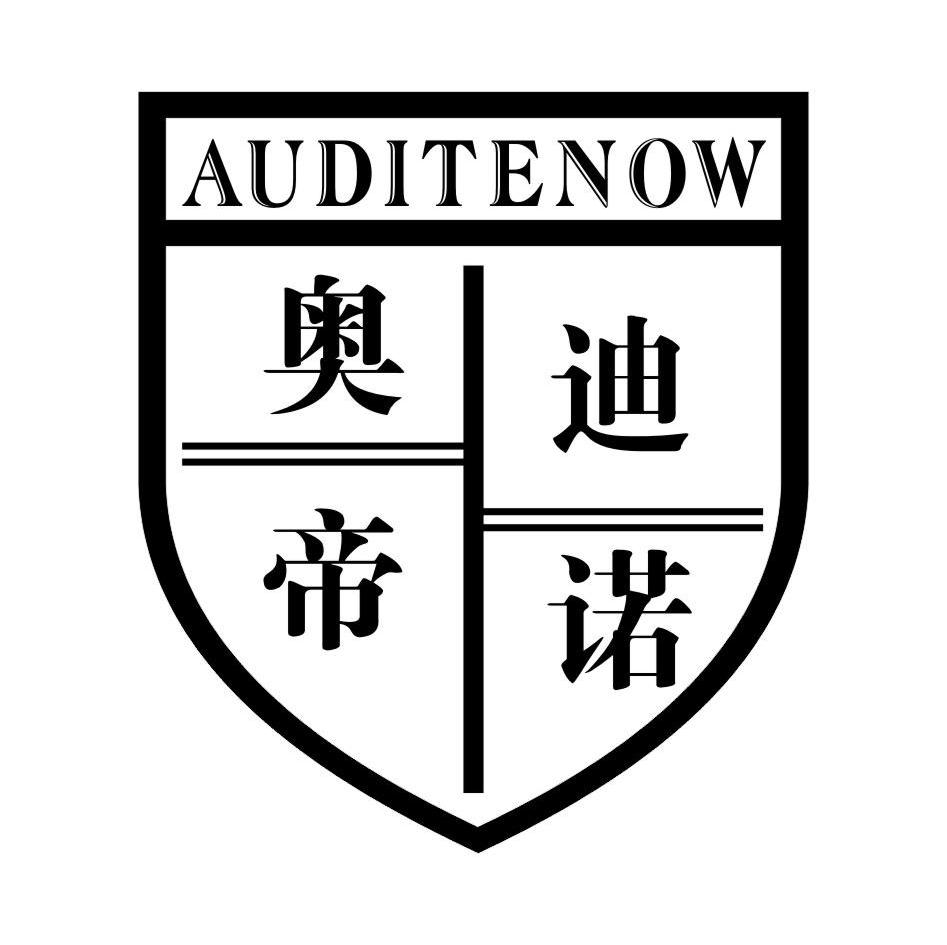 奥迪帝诺 AUDITENOW