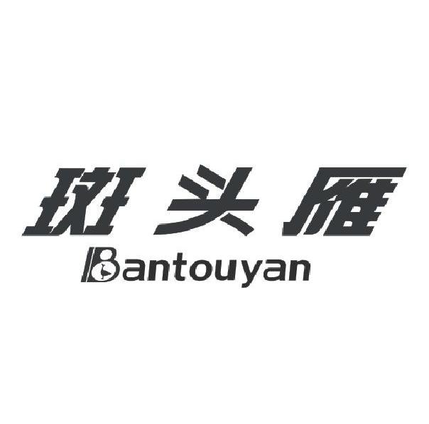斑头雁+BANTOUYAN