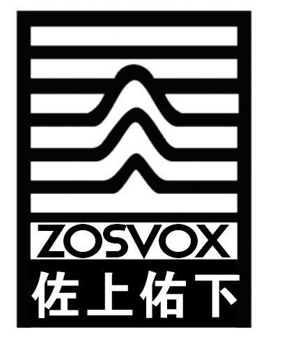 佐上佑下 ZOSVOX