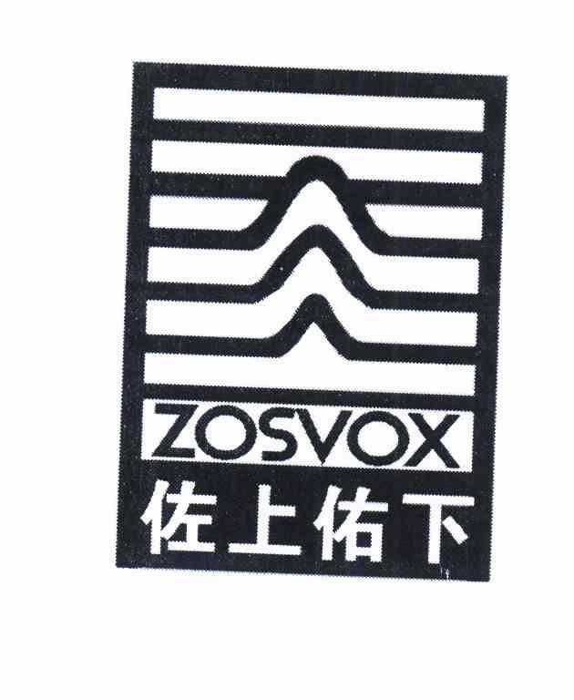 佐上佑下 ZOSVOX