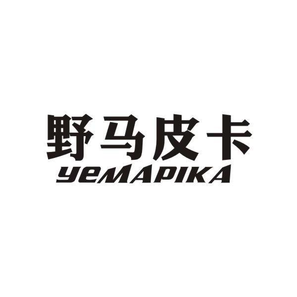 野马皮卡