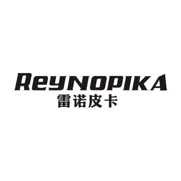 雷诺皮卡+REYNOPIKA