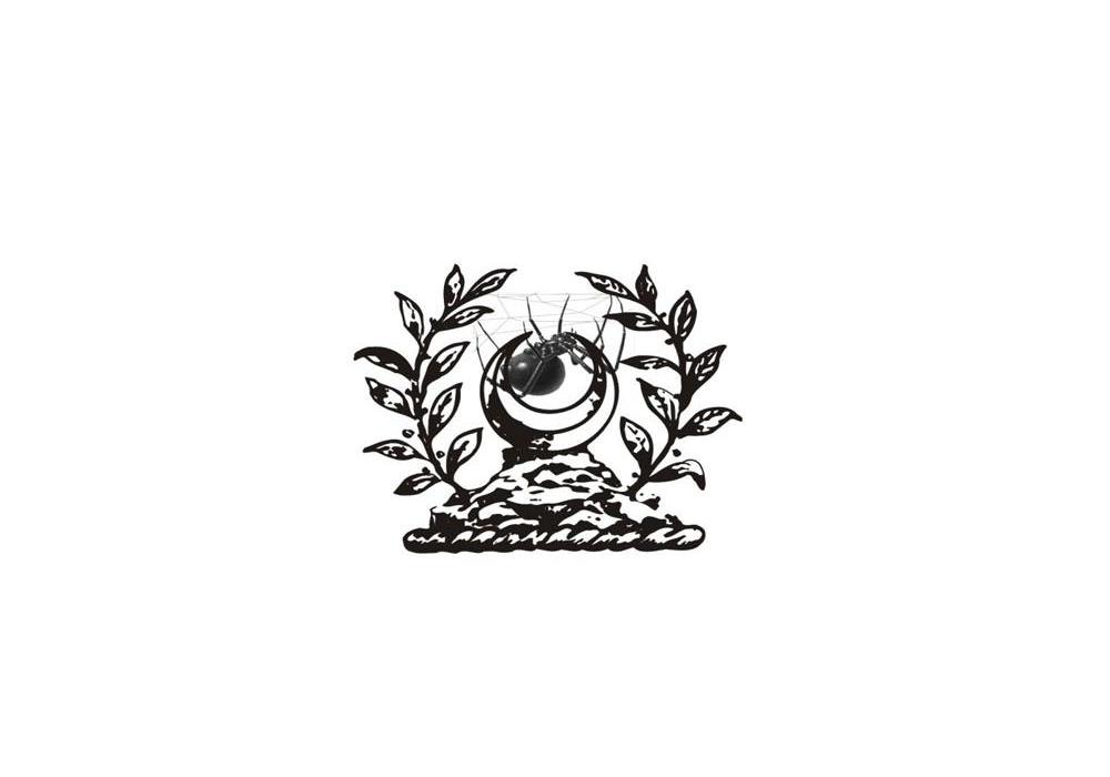 蜘蛛图形5