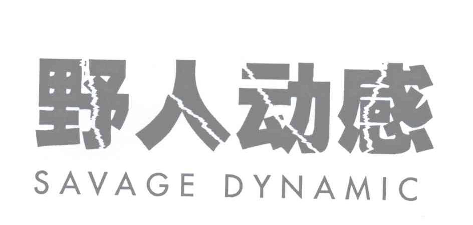野人动感