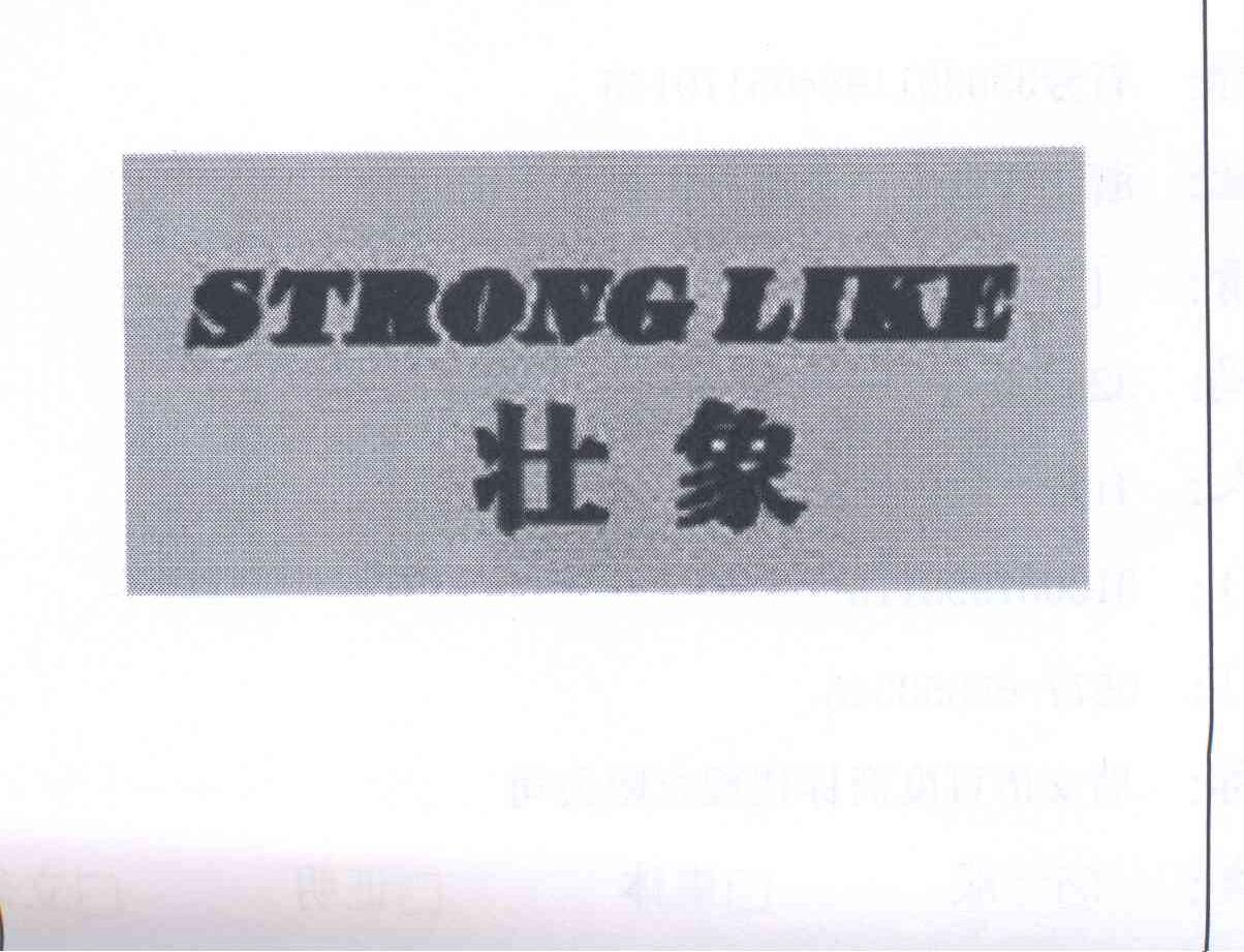 壮象 STRONG LIKE