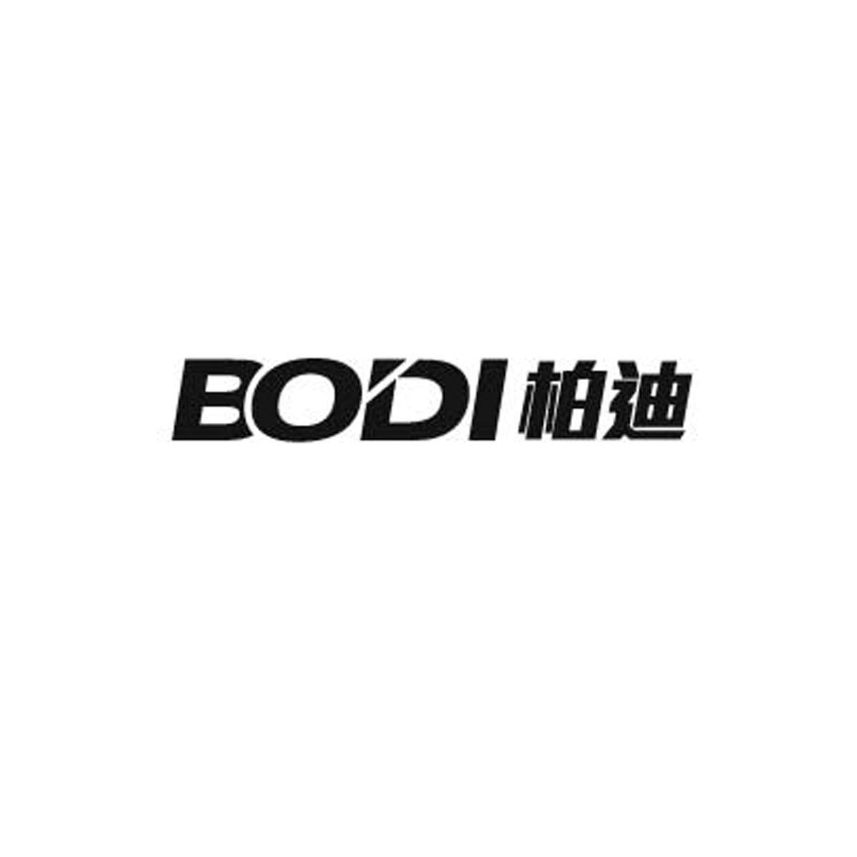 柏迪