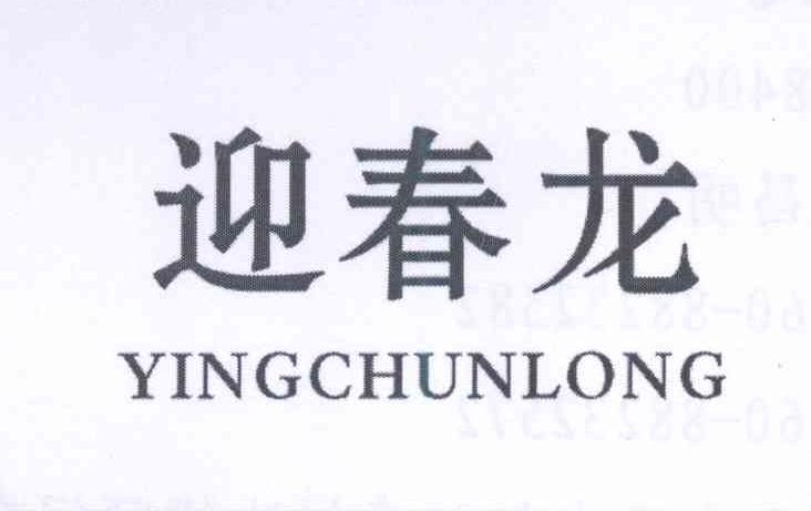 迎春龙