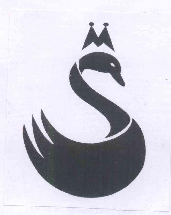 天鹅图形