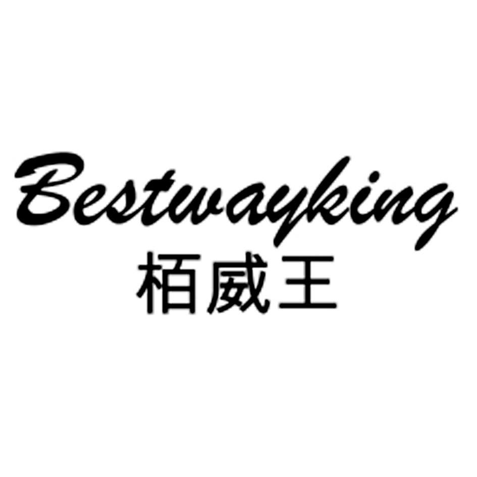 栢威王 BESTWAYKING