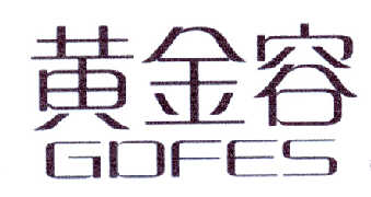 黄金容 GDFES