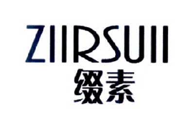 缀素 ZIIRSUII