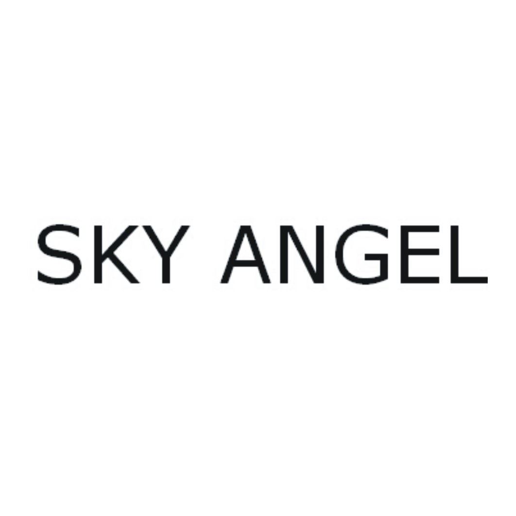 SKY ANGEL   （空中天使）
