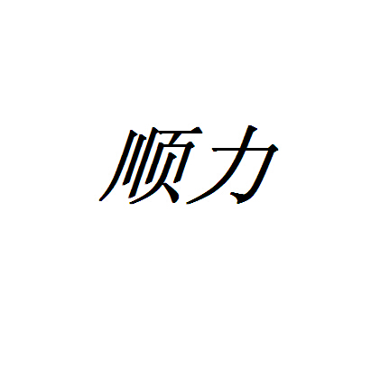 顺力