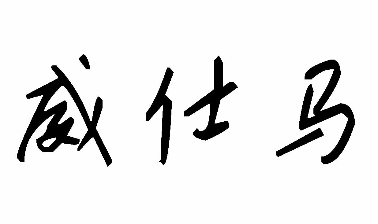 威仕马