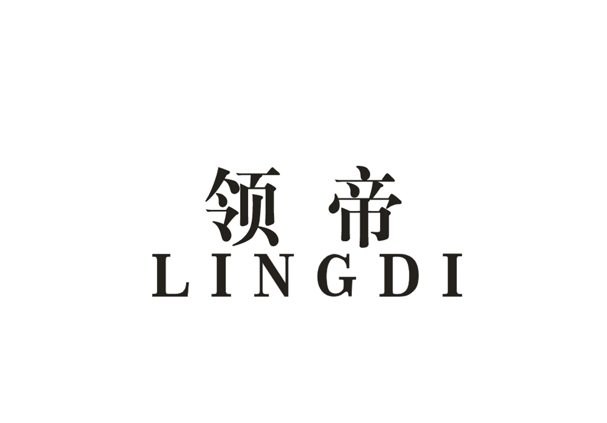 领帝+LINGDI