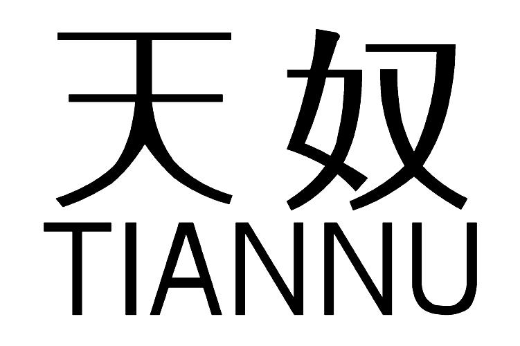 天奴