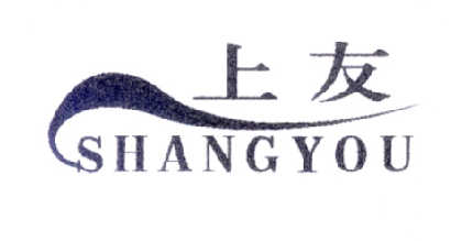 上友