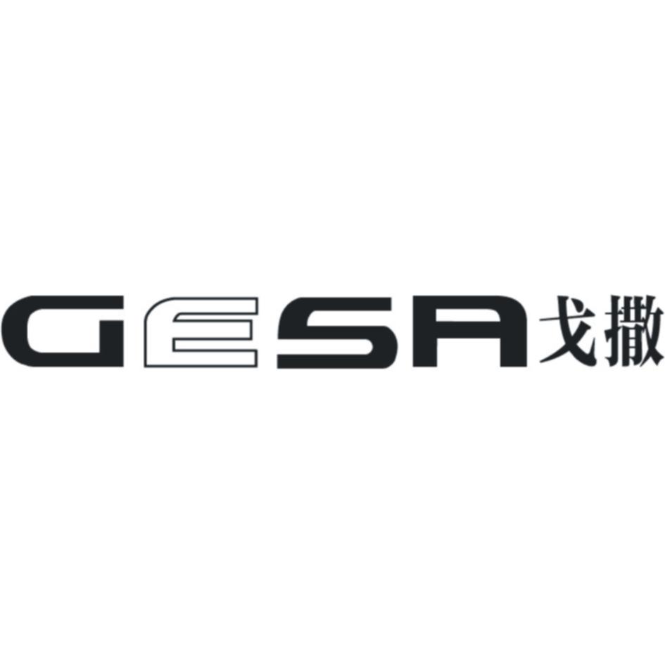 戈撒GESA
