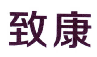 致康