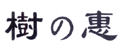 树惠