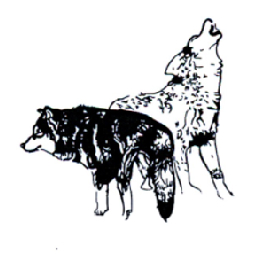 狼