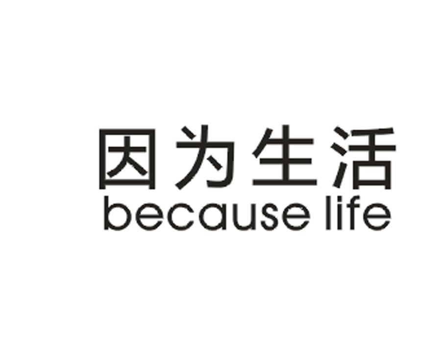 因为生活 BECAUSE LIFE