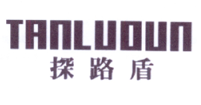 探路盾