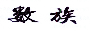 数族