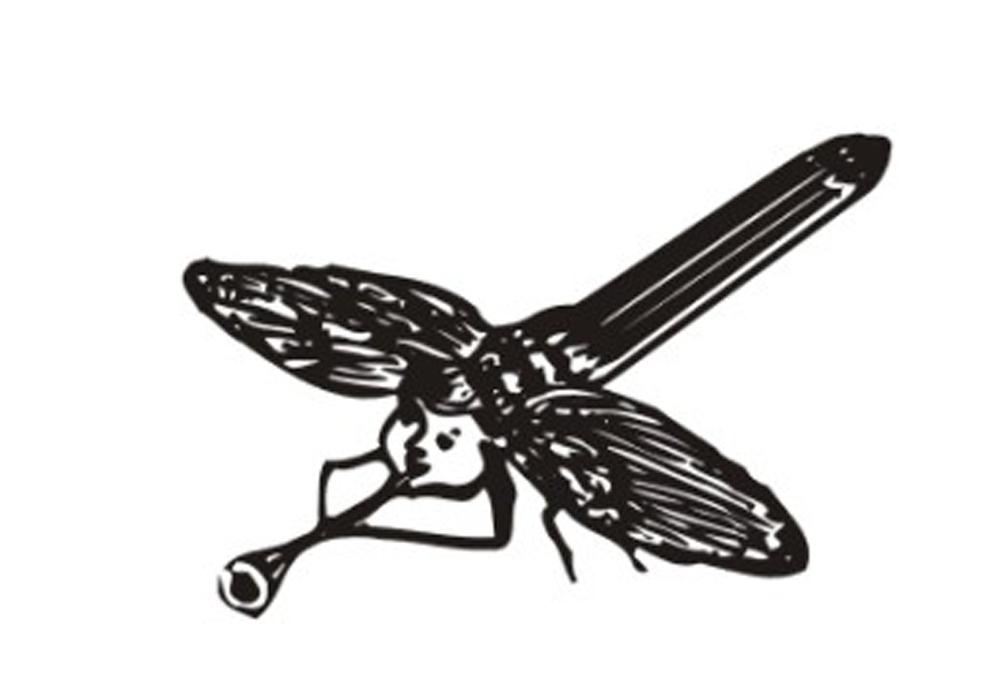 蜻蜓图形