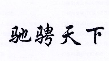 驰骋天下