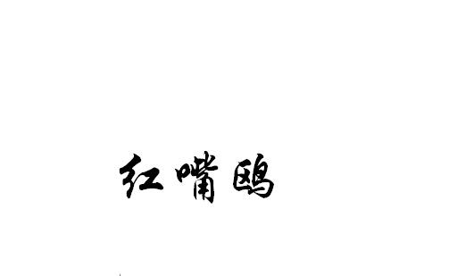 红嘴鸥