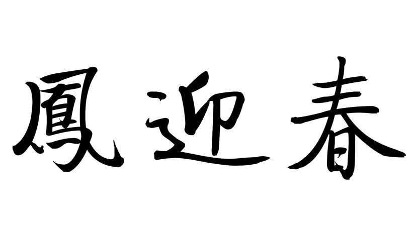 凤迎春