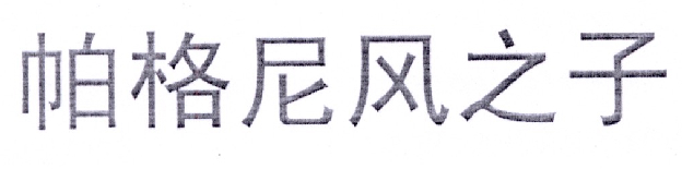 帕格尼风之子
