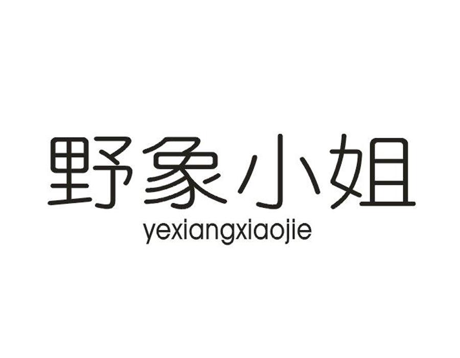 野象小姐