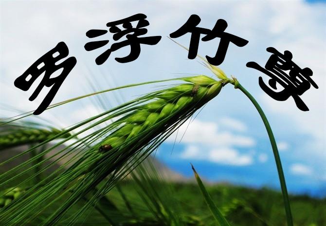 罗浮竹尊