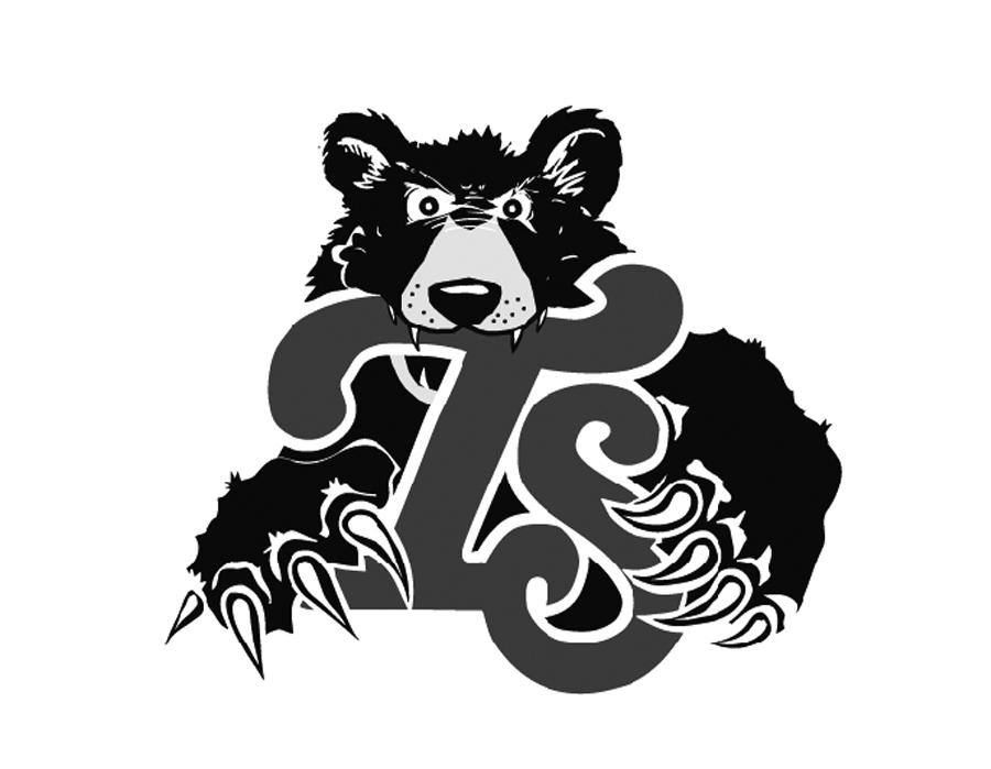 TS