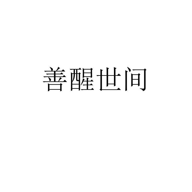 善醒世间