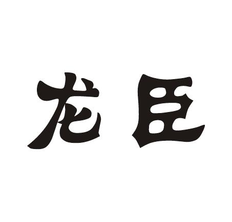 龙臣