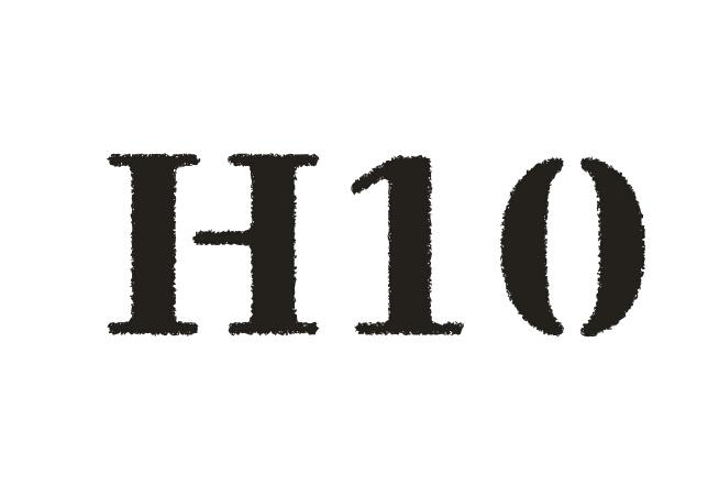 H10