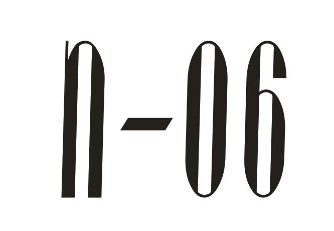 N06