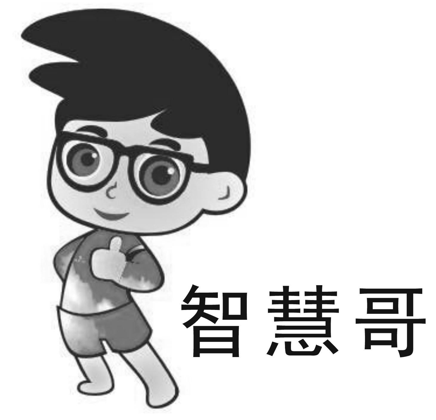 智慧哥