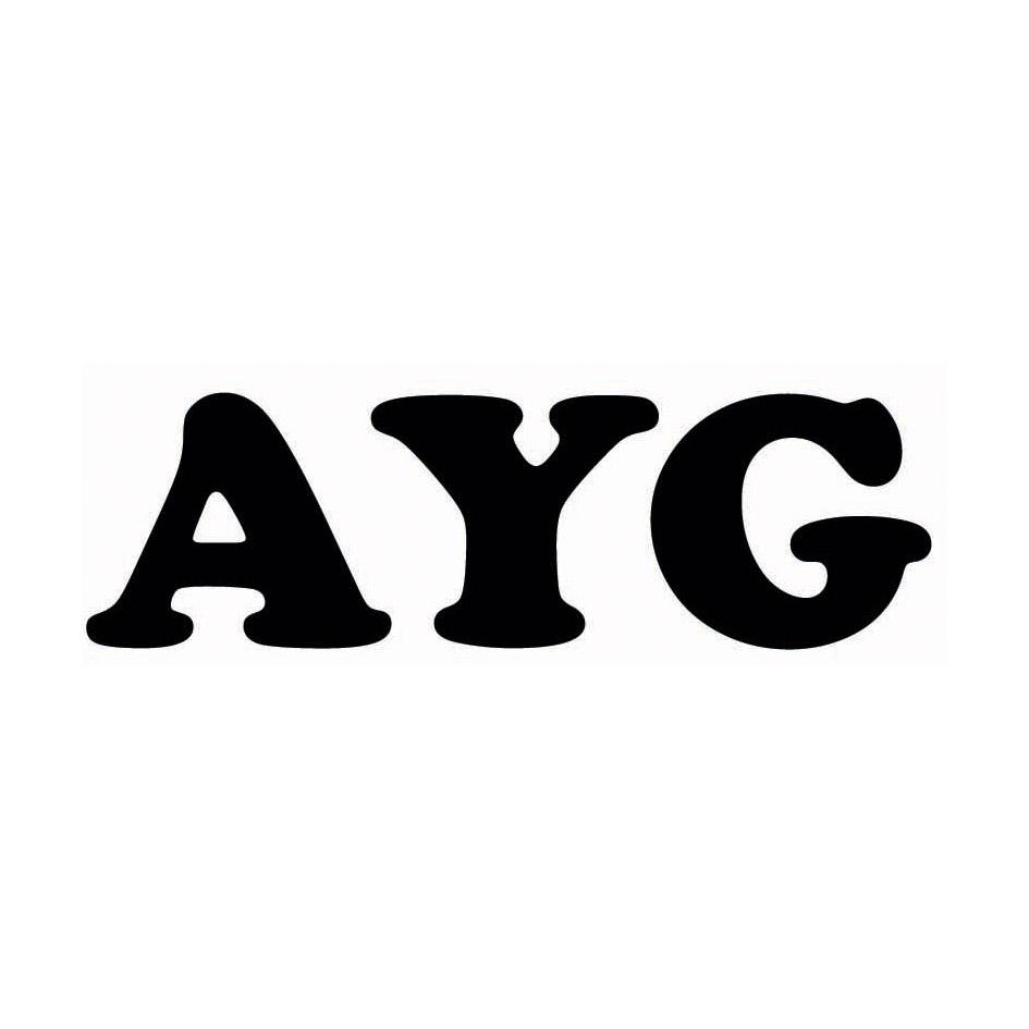 AYG                   （29.30同名）