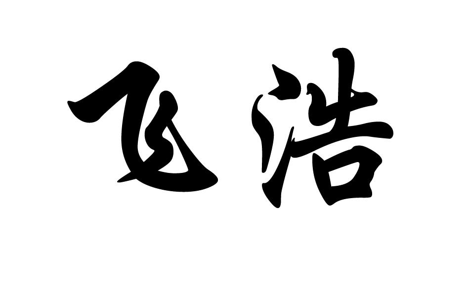 飞浩