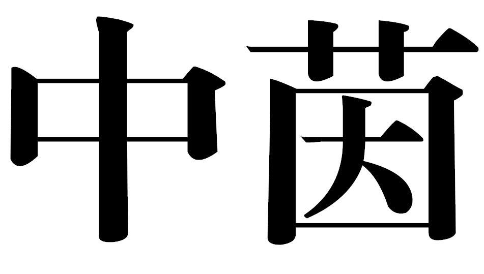 中茵