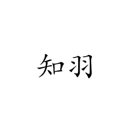 知羽