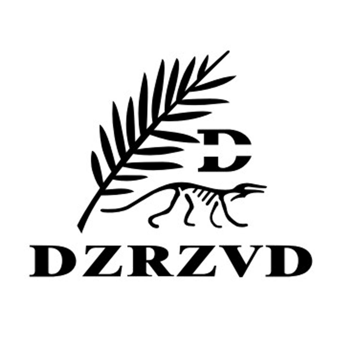 DZRZVDD